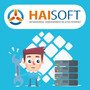 Haisoft 2026 Logo